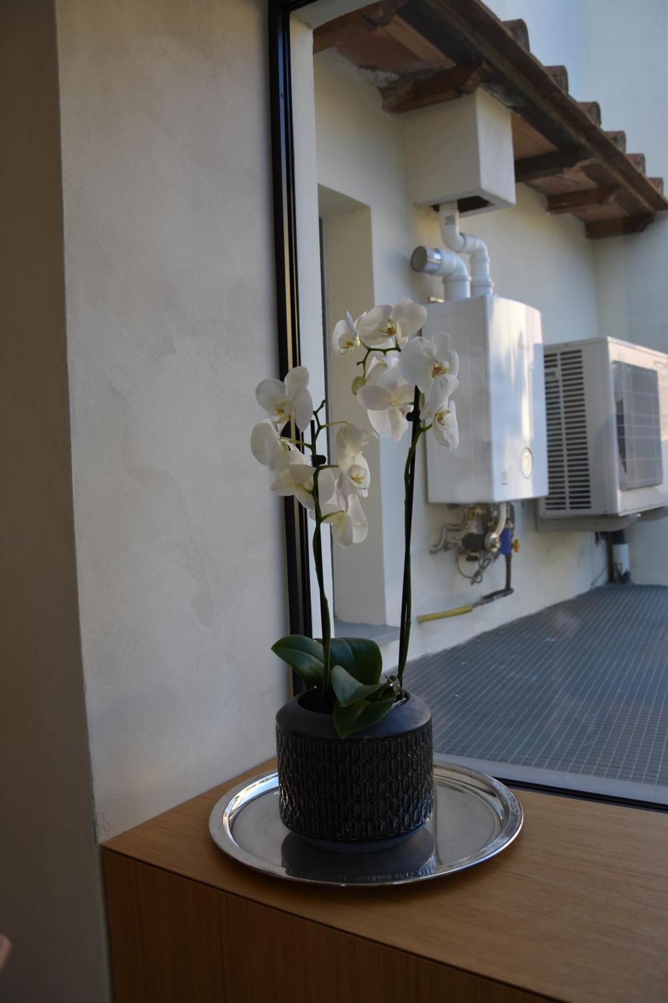 Il Giardino Di Dinda Apartment Arezzo Exterior photo